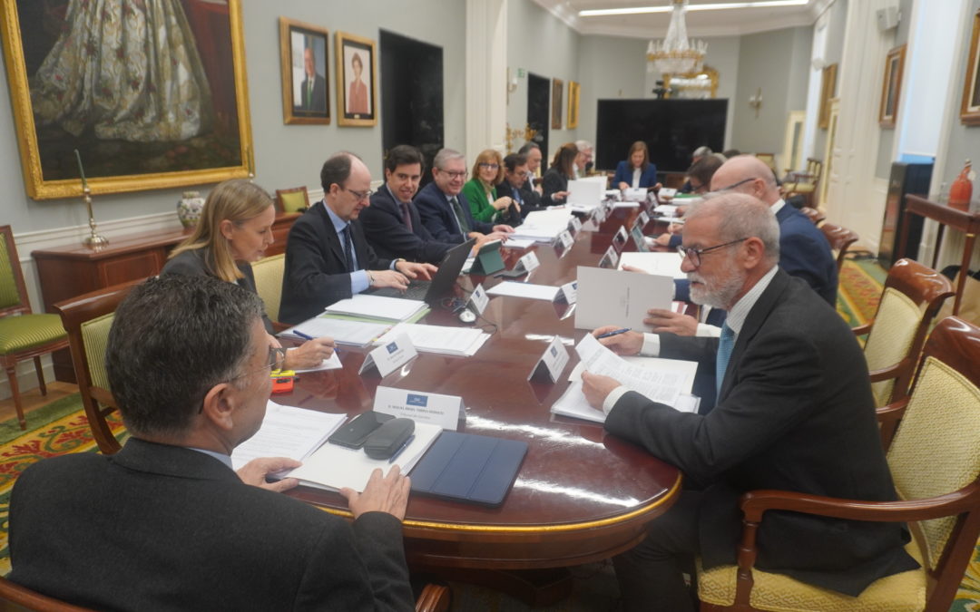 La Comisión de Coordinación de los Órganos de Control Externo en el ámbito local propone la fiscalización de la implantación de las zonas de bajas emisiones