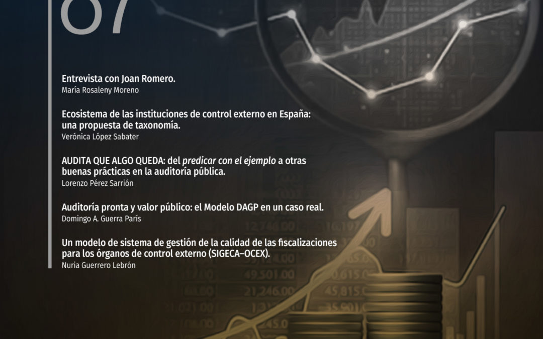 Estudio sobre las dificultades y distorsiones en la aplicación del Real Decreto 424/2017, de 28 de abril por el que se regula el régimen jurídico del control interno en las entidades del sector público local